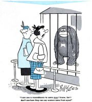 I can see a resemblance to some men I know, but I don't see how they can say women came from apes!,